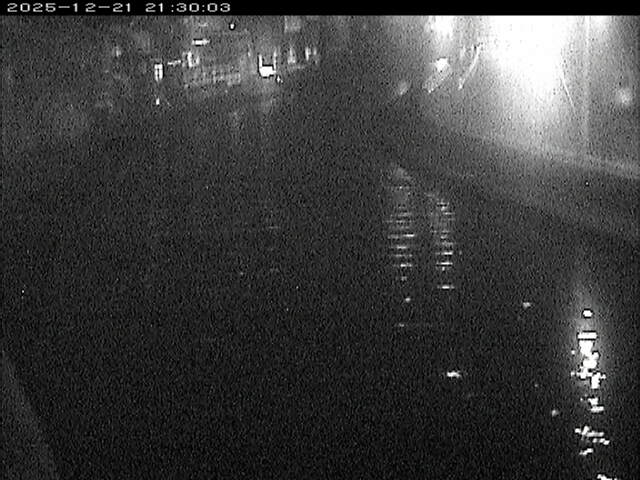 加茂川１2025/12/22 1:00:00