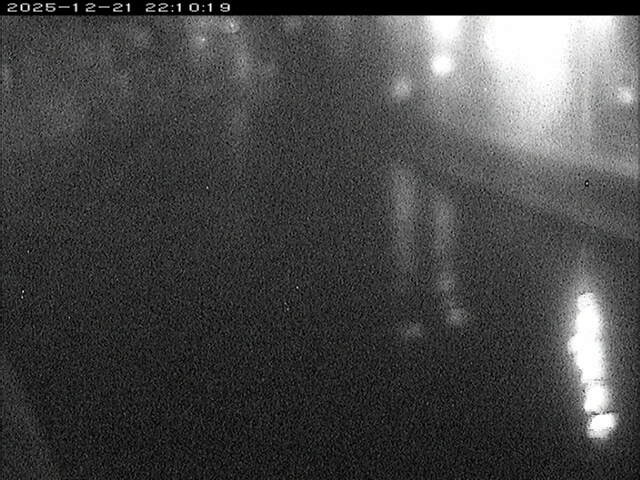 加茂川１2025/12/22 1:00:00