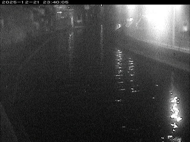 加茂川１2025/12/22 1:00:00