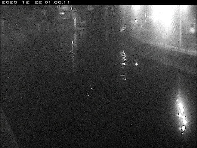 加茂川１2025/12/22 1:00:00