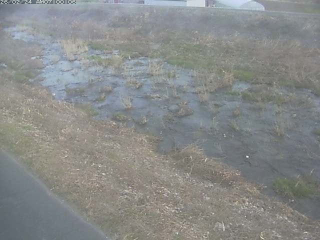 佐陀川３（河岡下流）2026/02/25 2:40:00