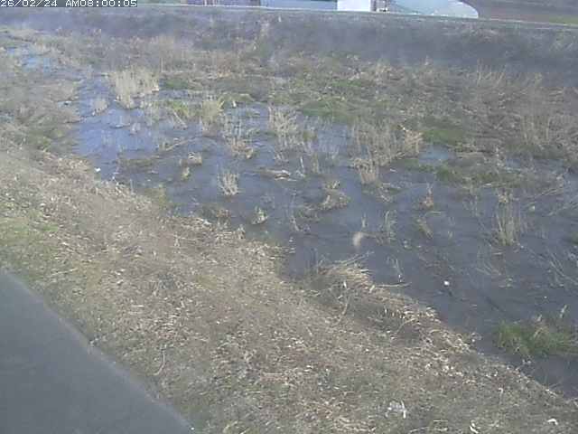 佐陀川３（河岡下流）2026/02/25 2:40:00