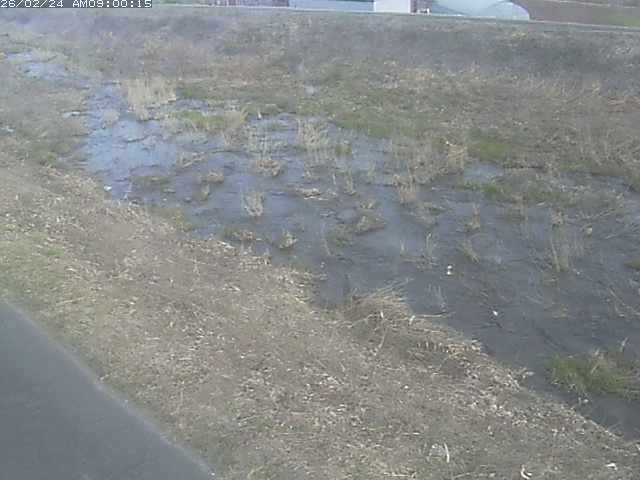 佐陀川３（河岡下流）2026/02/25 2:40:00