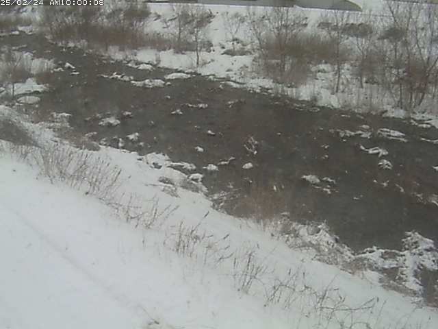 佐陀川３（河岡下流）2026/02/25 2:40:00