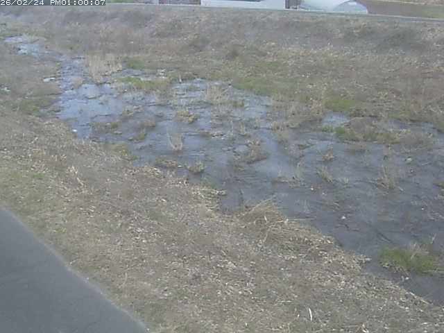 佐陀川３（河岡下流）2026/02/25 2:40:00