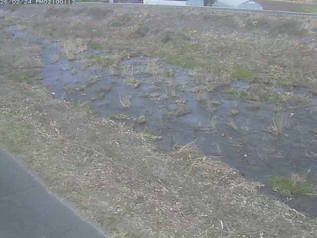 佐陀川３（河岡下流）2026/02/25 2:40:00