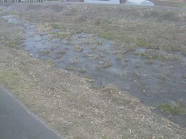 佐陀川３（河岡下流）2026/02/25 2:40:00