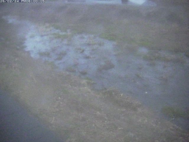 佐陀川３（河岡下流）2026/02/25 2:40:00