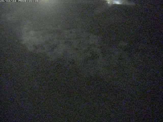 佐陀川３（河岡下流）2026/02/25 2:40:00