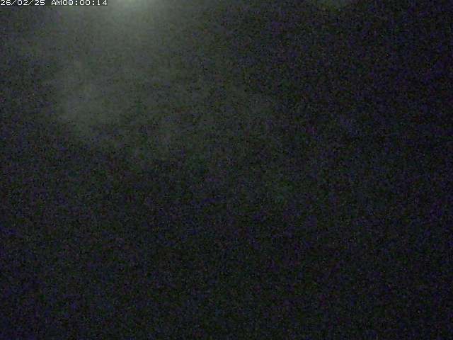 佐陀川３（河岡下流）2026/02/25 2:40:00