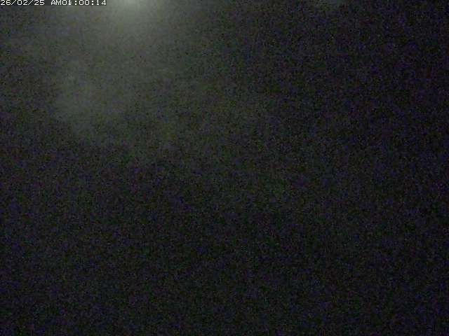 佐陀川３（河岡下流）2026/02/25 2:40:00