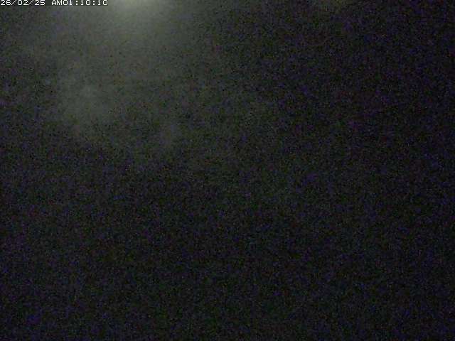 佐陀川３（河岡下流）2026/02/25 2:40:00