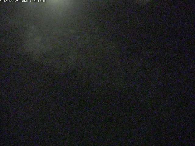 佐陀川３（河岡下流）2026/02/25 2:40:00