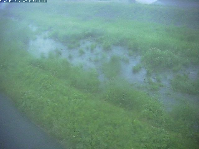 佐陀川３（河岡下流）2026/05/25 21:30:00