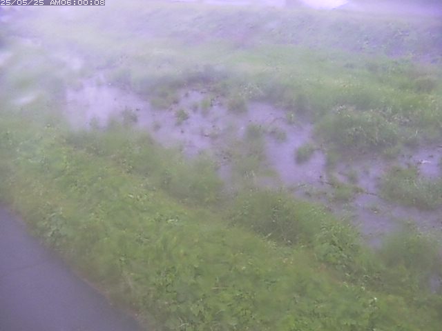 佐陀川３（河岡下流）2026/05/25 21:30:00