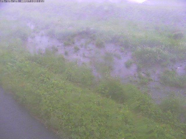 佐陀川３（河岡下流）2026/05/25 21:30:00