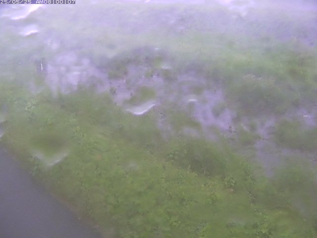 佐陀川３（河岡下流）2026/05/25 21:30:00