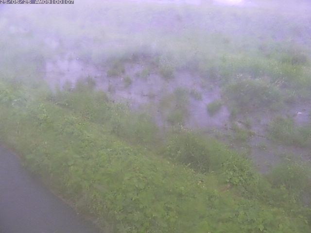 佐陀川３（河岡下流）2026/05/25 21:30:00