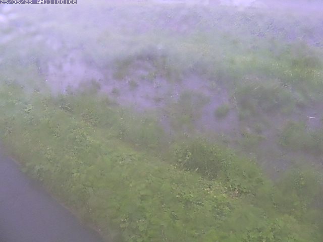 佐陀川３（河岡下流）2026/05/25 21:30:00