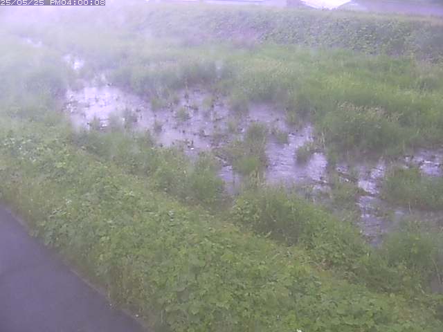 佐陀川３（河岡下流）2026/05/25 21:30:00