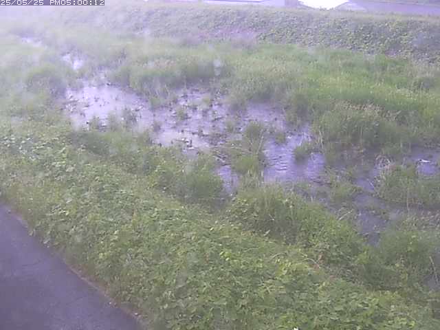 佐陀川３（河岡下流）2026/05/25 21:30:00