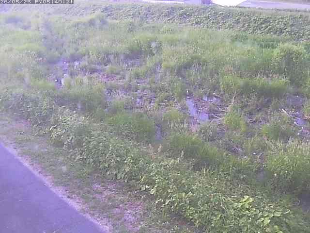 佐陀川３（河岡下流）2026/05/25 21:30:00