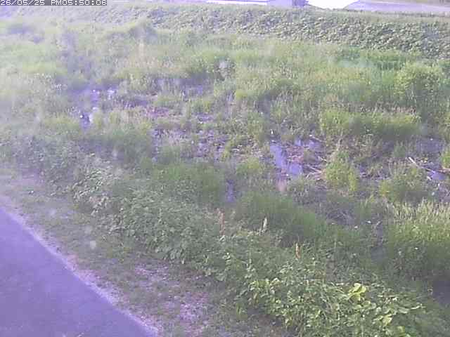 佐陀川３（河岡下流）2026/05/25 21:30:00
