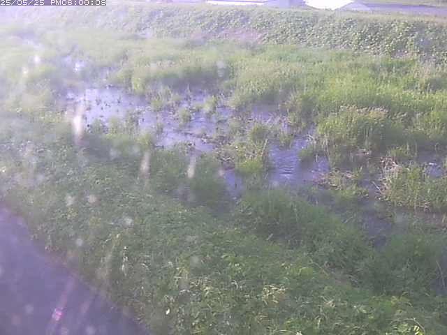 佐陀川３（河岡下流）2026/05/25 21:30:00