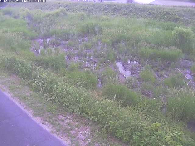 佐陀川３（河岡下流）2026/05/25 21:30:00