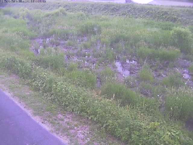 佐陀川３（河岡下流）2026/05/25 21:30:00