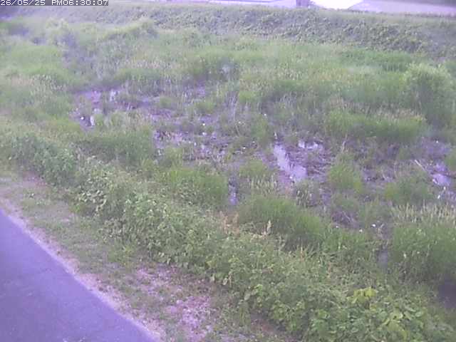 佐陀川３（河岡下流）2026/05/25 21:30:00