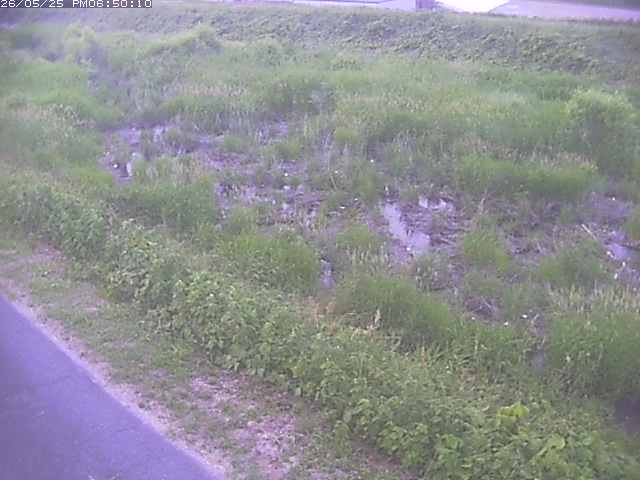 佐陀川３（河岡下流）2026/05/25 21:30:00