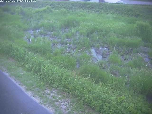 佐陀川３（河岡下流）2026/05/25 21:30:00