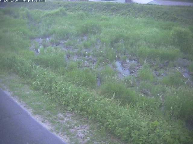 佐陀川３（河岡下流）2026/05/25 21:30:00