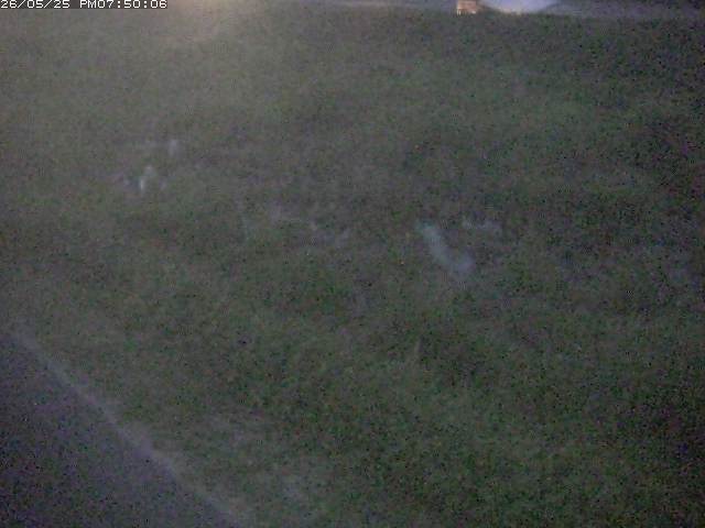佐陀川３（河岡下流）2026/05/25 21:30:00