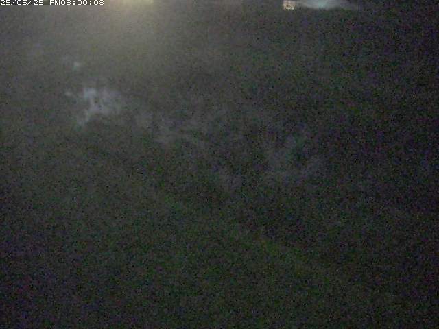 佐陀川３（河岡下流）2026/05/25 21:30:00