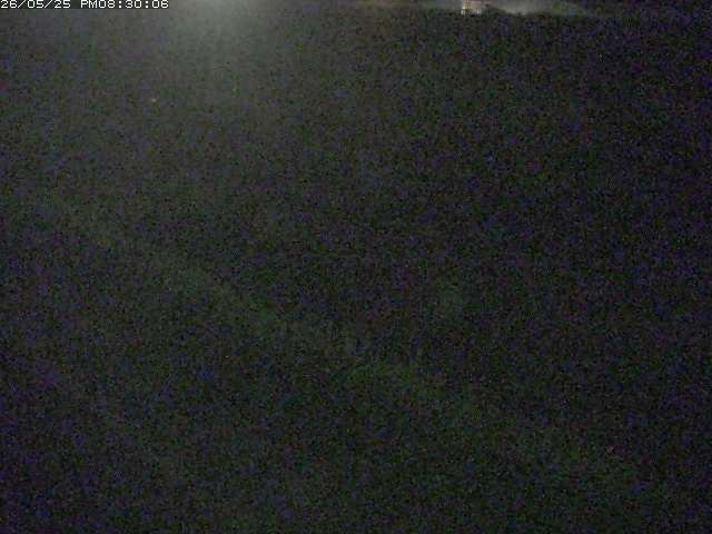 佐陀川３（河岡下流）2026/05/25 21:30:00