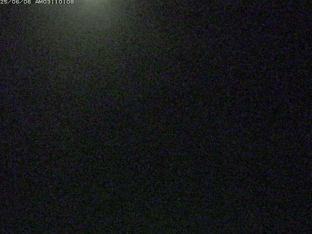 佐陀川３（河岡下流）2025/06/06 3:30:00
