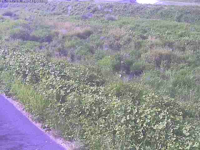 佐陀川３（河岡下流）2026/07/14 15:20:00