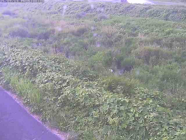 佐陀川３（河岡下流）2026/07/14 15:20:00