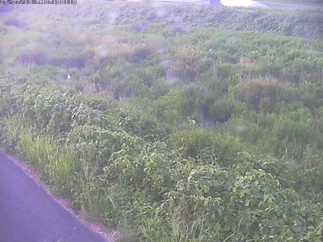 佐陀川３（河岡下流）2026/07/14 15:20:00
