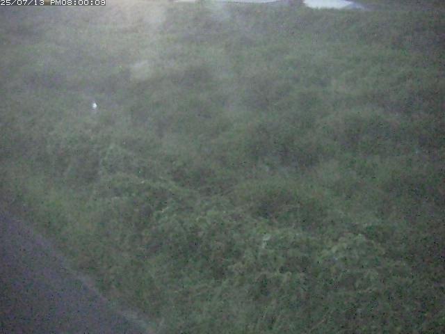 佐陀川３（河岡下流）2026/07/14 15:20:00