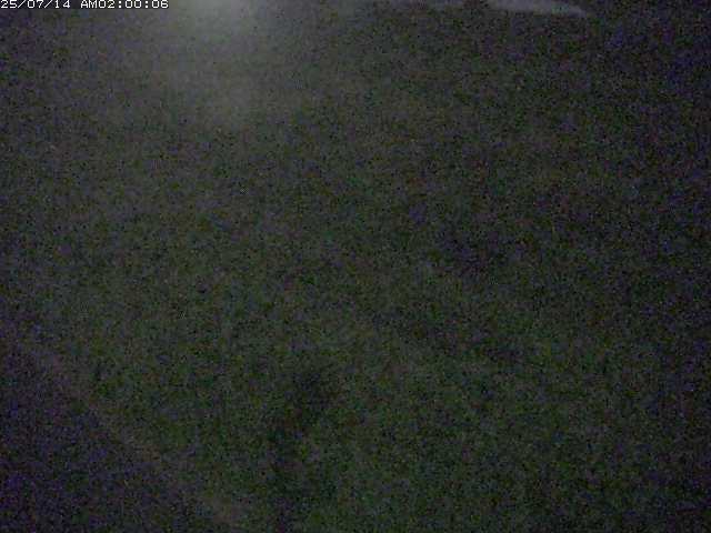 佐陀川３（河岡下流）2026/07/14 15:20:00