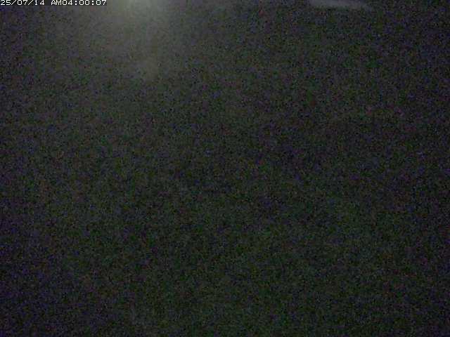 佐陀川３（河岡下流）2026/07/14 15:20:00