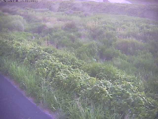 佐陀川３（河岡下流）2026/07/14 15:20:00