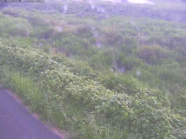 佐陀川３（河岡下流）2026/07/14 15:20:00