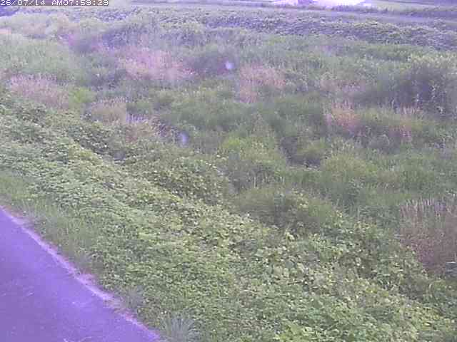 佐陀川３（河岡下流）2026/07/14 15:20:00