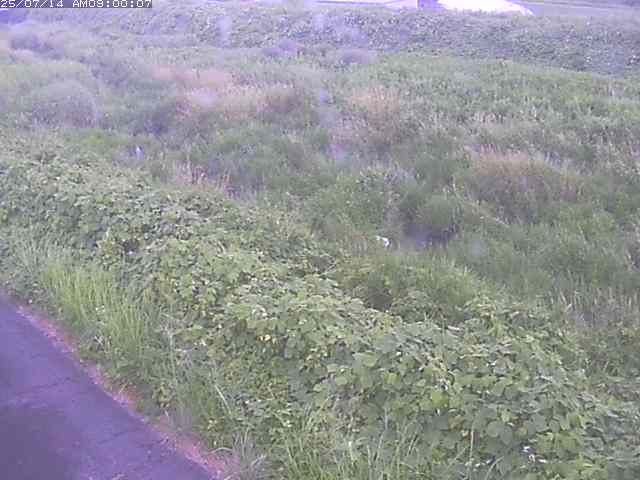 佐陀川３（河岡下流）2026/07/14 15:20:00