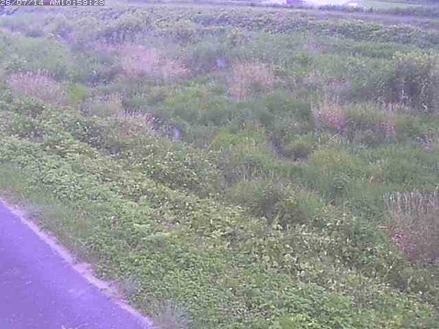 佐陀川３（河岡下流）2026/07/14 15:20:00