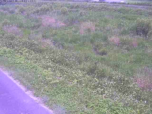 佐陀川３（河岡下流）2026/07/14 15:20:00